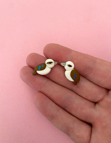 Kookaburra studs