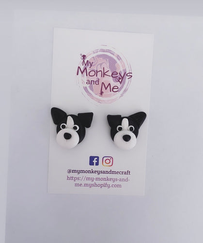 Jesse the border collie dog statement studs