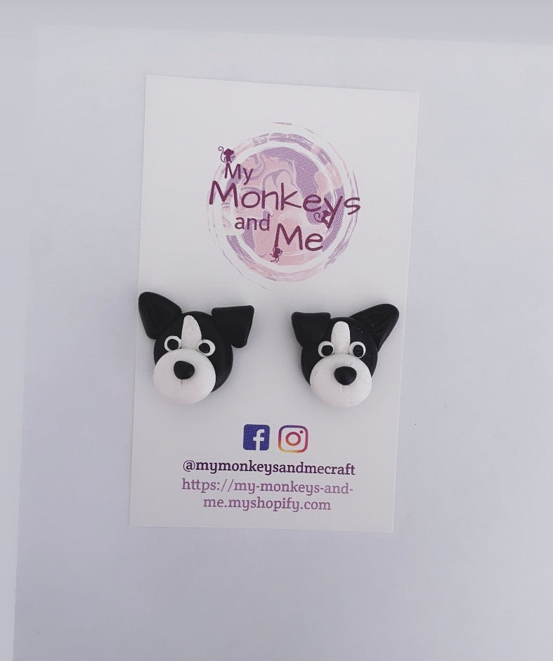 Jesse the border collie dog statement studs